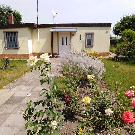 Ferienhaus Kaiserfelder Olbersdorf Екстериор снимка